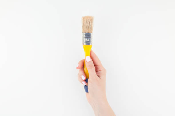 istock Woman hand holding new paint brush isolated 1002663038