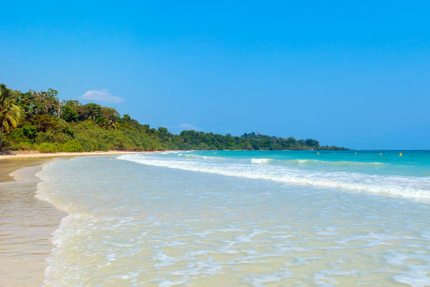 Tropical stretched out white sand beach and palm trees