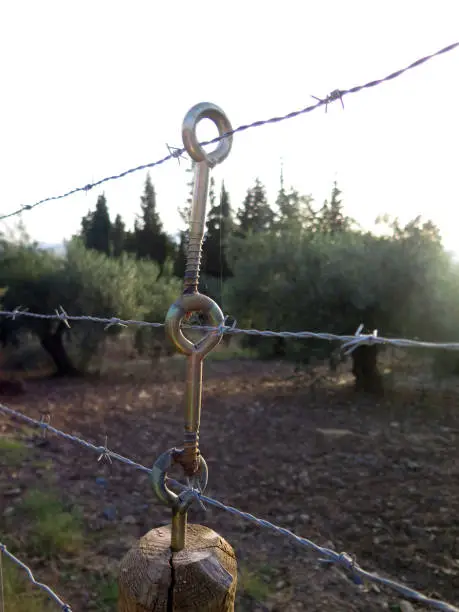 Innovative barbed wire fence support around olive grove in Andalusia