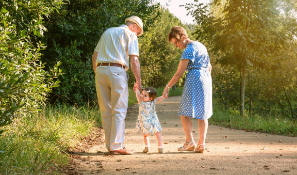 Grandparents and baby grandchild walking outdoors stock photo