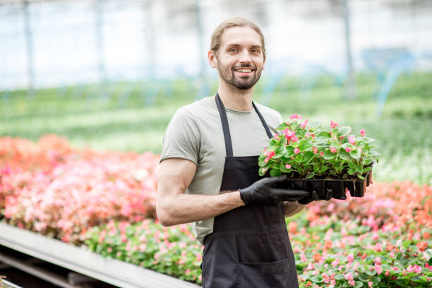 istock Worker with flower in the greenhouse 1002693206