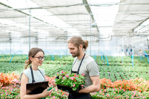 istock Workers with flower in the greenhouse 1002693388