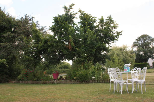 istock Garden table and chairs  Lawn mowed  Flowerbed 1002696462