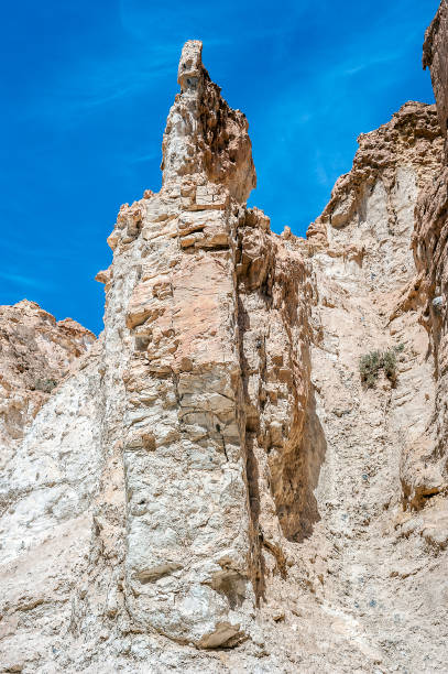istock A cheerless environment surrounded by the most beautiful oasis of Shebika. 1002697180
