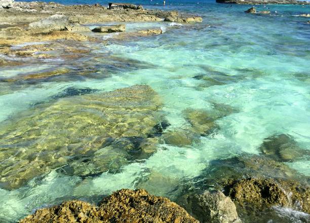 istock Coco Kay Island, Bahamas 1002705490