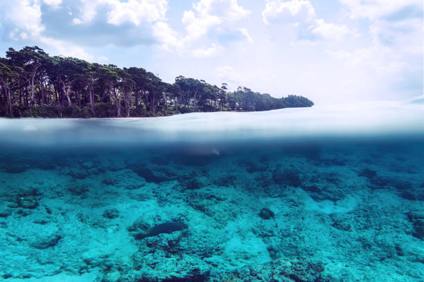 istock Tropical sand beach split above and below water, Bali, Indian Ocean 1002705616