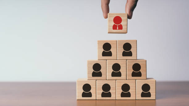 istock Human resource management and recruitment business 1002715672