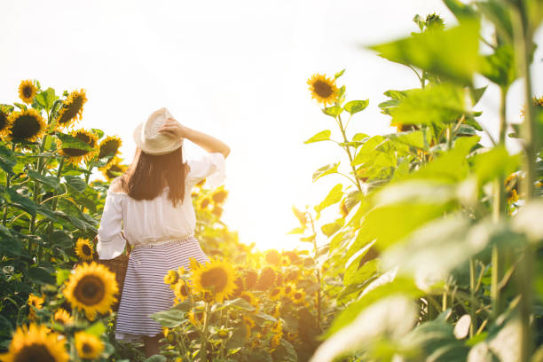 istock Woman enjoys in sunflower field 1002723372