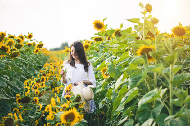 istock Woman enjoys in sunflower field 1002724090