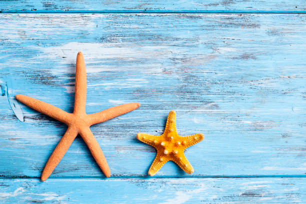 istock starfishes on a blue rustic wooden table 1002729176