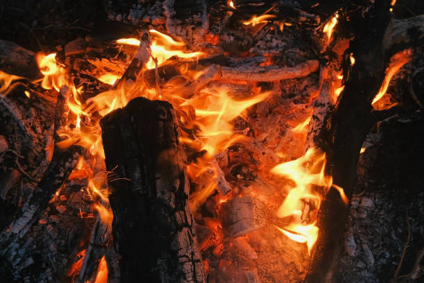 istock Burning bonfire of dry branches in the forest close-up. 1002733270