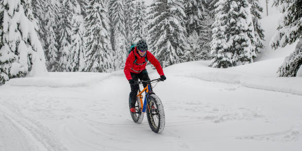 istock Man fat biking on snowy trail through winter forest 1002736038
