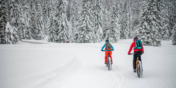 istock Couple riding their fat bikes on snowy forest trail 1002736054