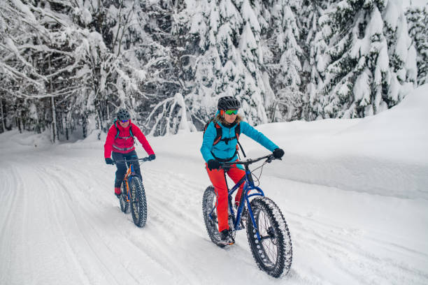 istock Couple riding their fat bikes on snowy forest trail 1002736056