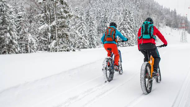 istock Couple riding their fat bikes on snowy forest trail 1002736060