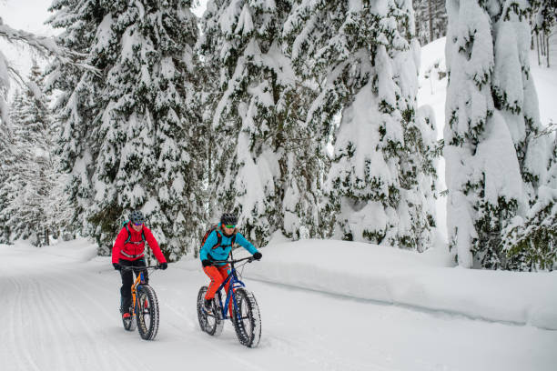istock Couple riding their fat bikes on snowy forest trail 1002736070