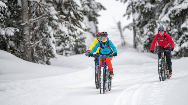 istock Three people fat biking on snow forest trail in winter 1002736072