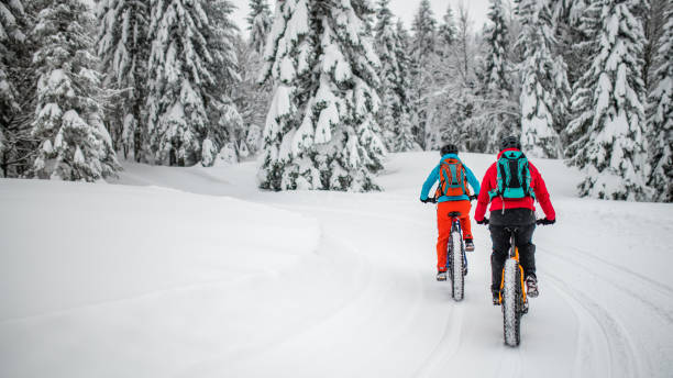 istock Couple riding their fat bikes on snowy forest trail 1002736076