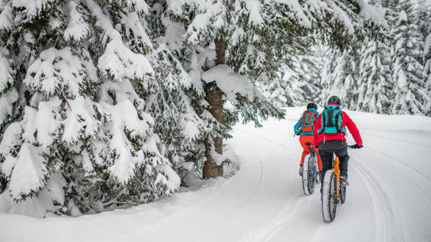istock Couple riding their fat bikes on snowy forest trail 1002736084