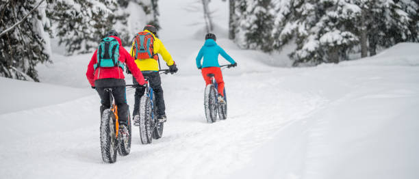 istock Three people fat biking on snow forest trail in winter 1002736092