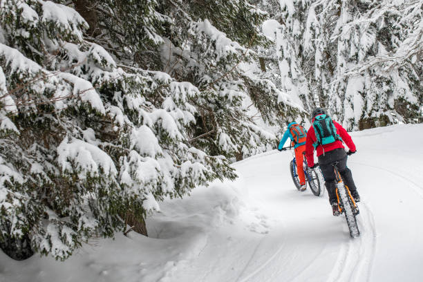 istock Couple riding their fat bikes on snowy forest trail 1002736096