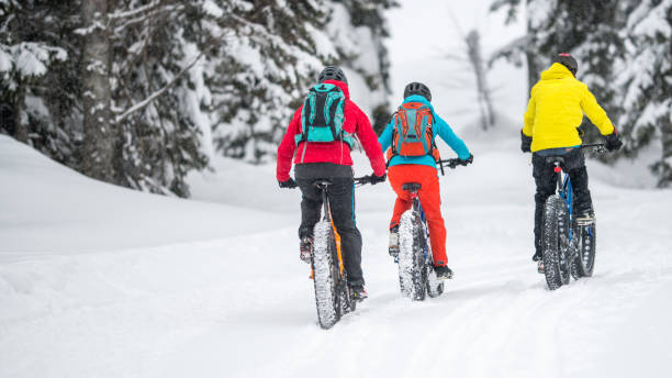 istock Three people fat biking on snow forest trail in winter 1002736098