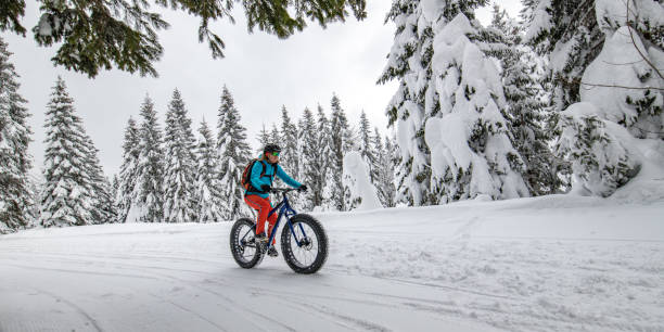 istock Woman fat biking on snowy trail through winter forest 1002736100