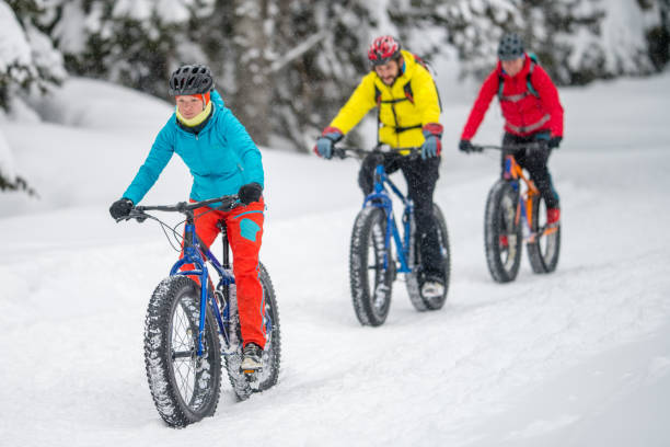 istock Three people fat biking on snow forest trail in winter 1002736102