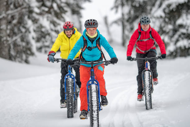 istock Three people fat biking on snow forest trail in winter 1002736104