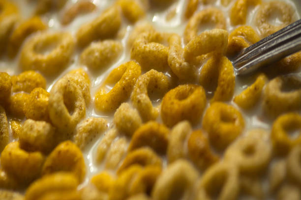 Wheat based circular cereals in a breakfast bowl with skimmed milk.
