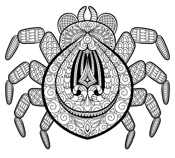 Spider in zentangle style for tattoo. Print or t-shirt. Adult antistress coloring page. Black and white hand drawn doodle for coloring book vector illustration spider tribal tattoo stock illustrations