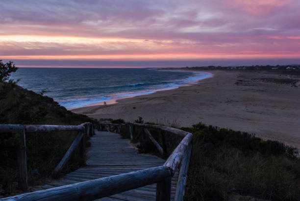 istock Wood boardwalk leading down to empty Zahora beach at nice sunset in Cadiz, Spain 1002752564
