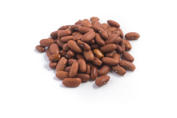 istock Butter bean. Brazian Brown Bean 1002752858
