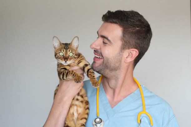 istock Cute vet with a furry patient 1002753652