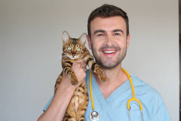 istock Cute vet with a furry patient 1002753660