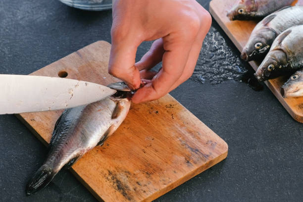 istock Man cuts gills of carp fish. Cooking fish. Hands close up. 1002775374