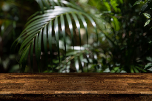 Dark wood table top with blur on green palm leaves or tree in tropical forest with bokeh light at background - Using for Mock up template for display of your design,Banner for advertise of product.