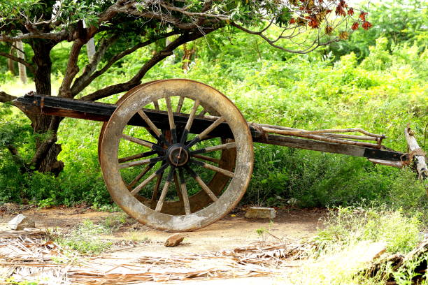 istock Vintage bullock cart 1002787642