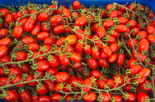 Box full of ripe and fresh little tomatoes with petiole