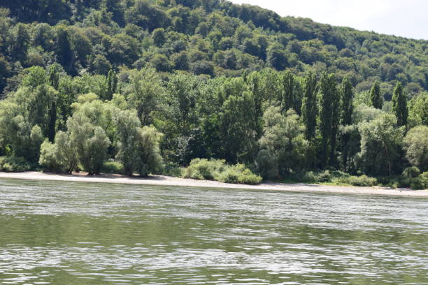 istock Rhine near Namedy in low water 1002801960