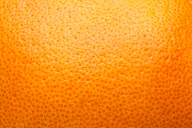 cáscara de cítricos, naranja, fondo abstracto de pomelo, limón, - tan skin fotografías e imágenes de stock