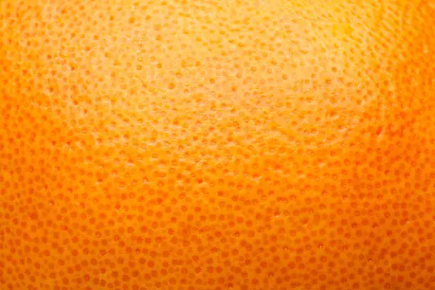 Photo of citrus peel, orange, grapefruit, lemon, abstract background