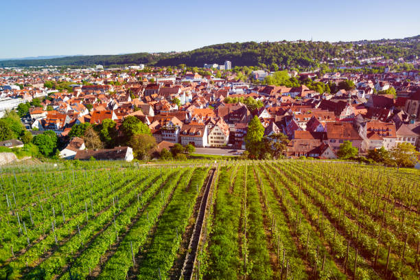 istock View of Esslingen with vineyards from Dicker Turm 1002851136