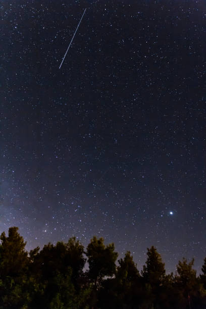 istock Falling stars over the forest at the Troodos mountains 1002852328