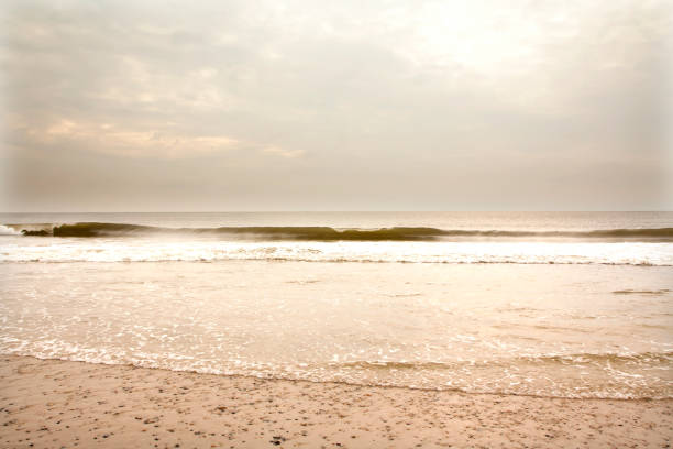 istock North Sea beach in Denmark at cloudy day. 1002855908