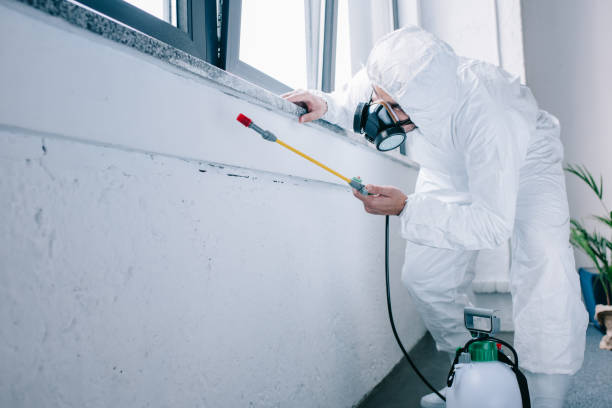 istock pest control worker spraying chemicals under windowsill at home 1002864106