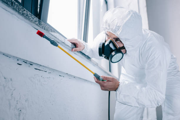 istock pest control worker spraying pesticides under windowsill at home 1002864114