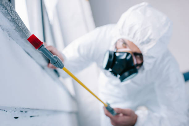 pest control worker spraying pesticides under windowsill at home pest control worker spraying pesticides under windowsill at home exterminator photos stock pictures, royalty-free photos & images