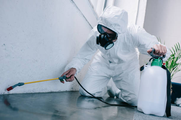 istock pest control worker spraying pesticides on floor at home 1002864142