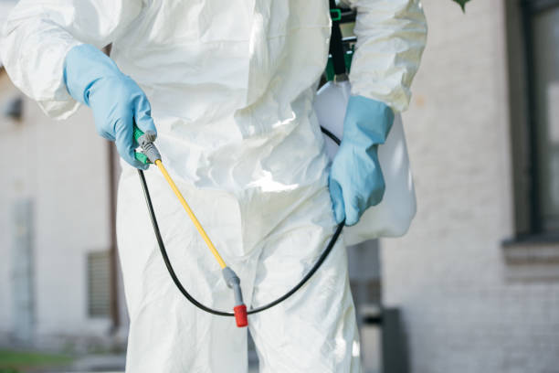 istock cropped image of pest control worker holding sprayer 1002864220